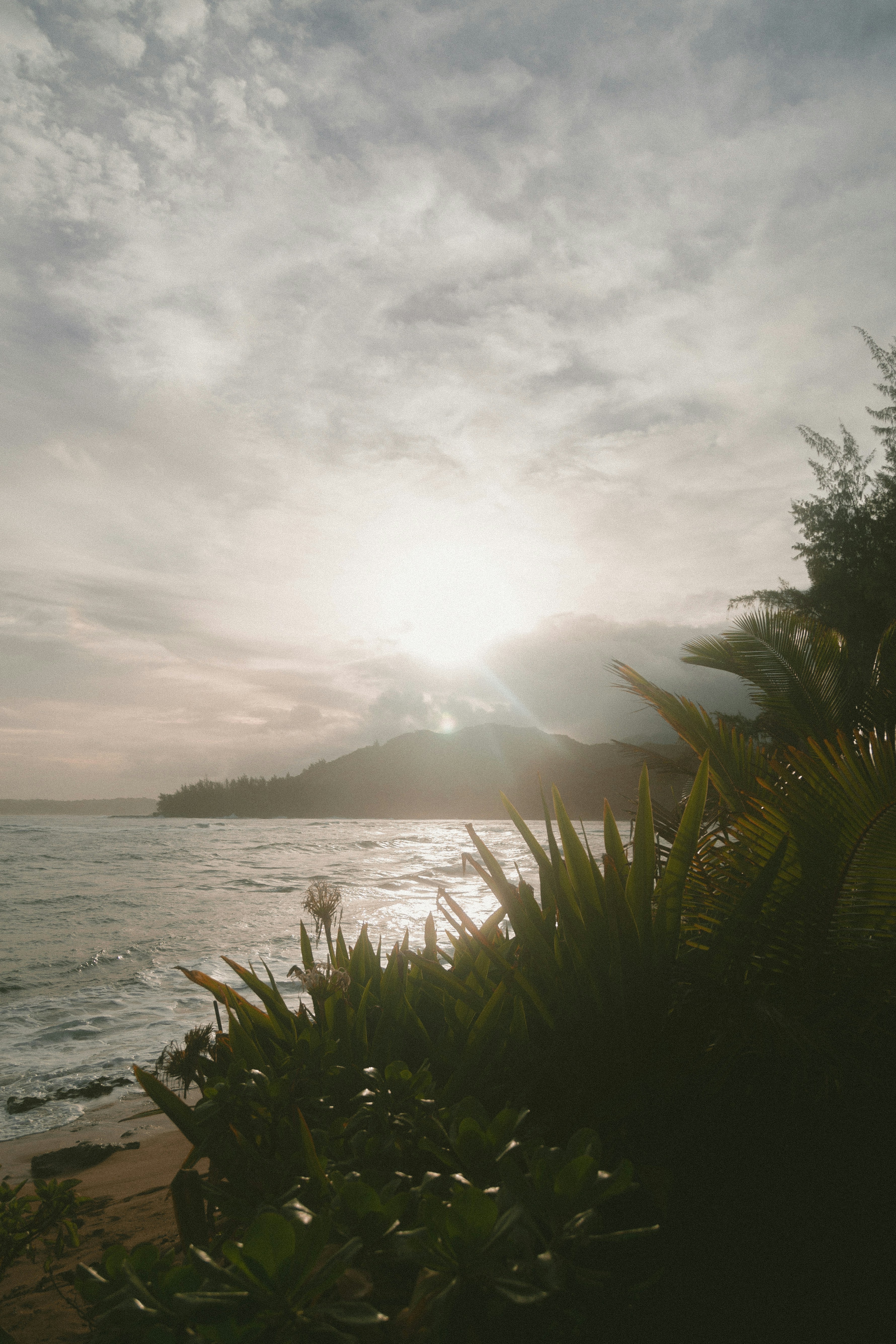 Surfer paddling into a turquoise wave at sunrise