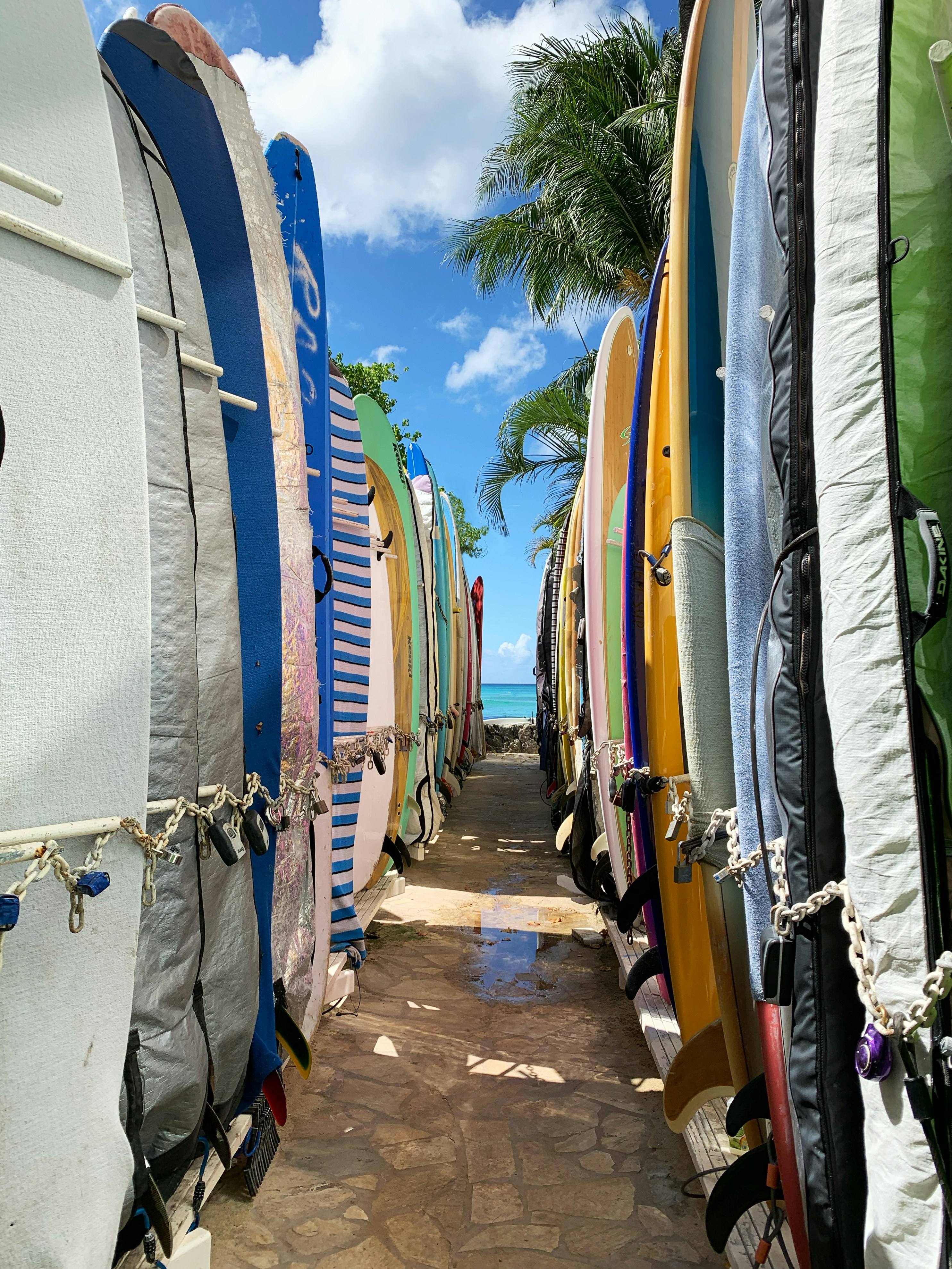 Colorful longboards lined up in an alley leading to the ocean in Hawaii